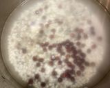 圧力鍋で簡単『八宝粥』（材料はテキトー）作り方3写真