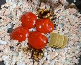 食感たのしい♪簡単カフェ風タコライス作り方6写真