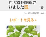 シャインマスカットケーキ作り方8写真