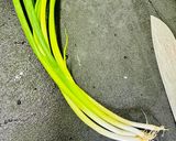 スモークサーモンのピザ♪作り方3写真
