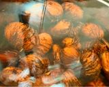 TOP10ほくほく渋皮ごと茹で栗/砂糖無作り方5写真