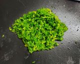 簡単鬼旨シークワこしょう作り方1写真