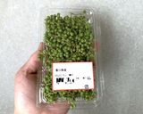 乾燥実山椒2026作り方1写真