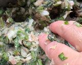 食感最高！シャキシャキ空芯菜入り焼き餃子作り方3写真