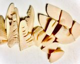 お弁当に☆ふきと竹の子の煮物作り方1写真