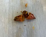 フルーツきんとん作り方5写真