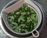 【覚書】山椒の葉の下処理方法作り方3写真