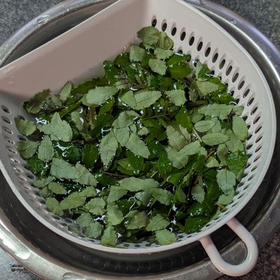 覚書】山椒の葉の下処理方法 by 能登の料理家 悠美姉（ゆみねぇ