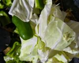厚揚げ回鍋作り方1写真