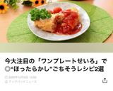 蒸篭でおひとり様オムライス作り方13写真