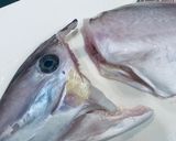 ウスバハギのお刺身　骨の形がわかれば簡単作り方6写真