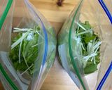 水菜と塩こんぶの浅漬け作り方2写真