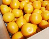 箱買いみかんを最後まで美味しく🍊作り方4写真