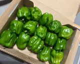 ぼたんこしょう味噌作り方5写真