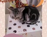 やきもち♡作り方13写真
