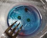 清涼☆彡星空寒天ゼリー♪作り方15写真