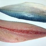 フライパン10分煮！お手軽★さばと白ねぎの味噌煮作り方1写真