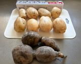 れんこんの冷凍保存方法♡直ぐ使えて便利🎵作り方1写真
