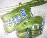 青梗菜ピリ辛オイスターソース炒め♪簡単作り方1写真