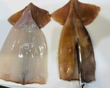 冷凍イカフードドライヤーで自家製スルメ🦑作り方3写真