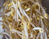 【楽チン】レンチン4分☆豆もやしのゆで方作り方1写真