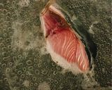 フライパンでできるブリの照り焼き作り方1写真