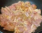 爽やか鶏レモン煮！アフリカ料理プレヤッサ作り方4写真