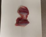 砂肝のネギレモンのゴマだれかけ！作り方2写真