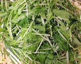 【おせちリメイク】数の子と水菜の和パスタ作り方5写真