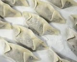 簡単な餃子の作り方~包み方~冷凍保存方法作り方19写真