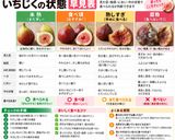 保存版✅いちじくが腐るサイン・熟れ具合の見分け方作り方1写真