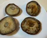 焼いた椎茸200円20分作り方4写真