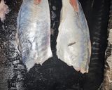 5分で鯵を3枚おろしに作り方6写真