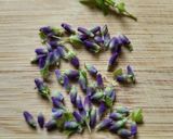 Lavender Ghee作り方2写真