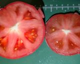 鶏もも生姜おこわのトマトファルシ作り方2写真