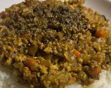 凍豆腐のキーマカレーもどき作り方7写真
