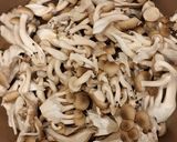 鶏むね肉ときのこの中華風マリネ作り方4写真