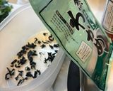 無添加・無農薬 栄養抜群 酢の物作り方3写真