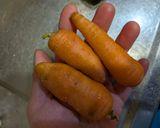 ソイリッチで豆乳にんじんスープ作り方2写真