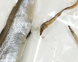 うちの☆ししゃも・小型魚❣下処理は爪楊枝作り方21写真
