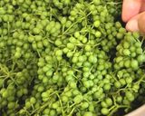 山椒の醤油漬け作り方1写真