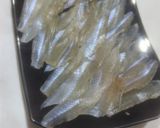 魚 鱚 刺身 キスのさばき方と昆布酒締め作り方11写真