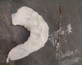 ぷるっぷる🦐海老と白菜の中華煮込み🥬作り方2写真