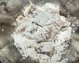 お店の味🥩牛ホルモンの黄金比旨辛味付け🔥作り方2写真