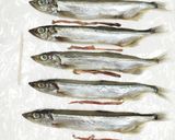 うちの☆ししゃも・小型魚❣下処理は爪楊枝作り方16写真
