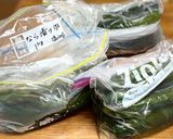 キュウリの奈良漬け作り方4写真