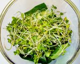 酒粕、スプラウト入りグリーンスムージー作り方3写真