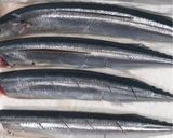 生秋刀魚の下処理♪簡単な内臓の取り方🐟作り方10写真