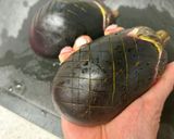 ノンフライヤーで♪丸茄子のトロトロ焼き作り方1写真