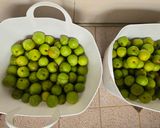 カリカリ甘梅作り方1写真